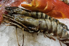 Fisch
