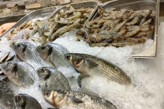 Fisch