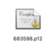 Speicherort von beA Software Zertifikaten